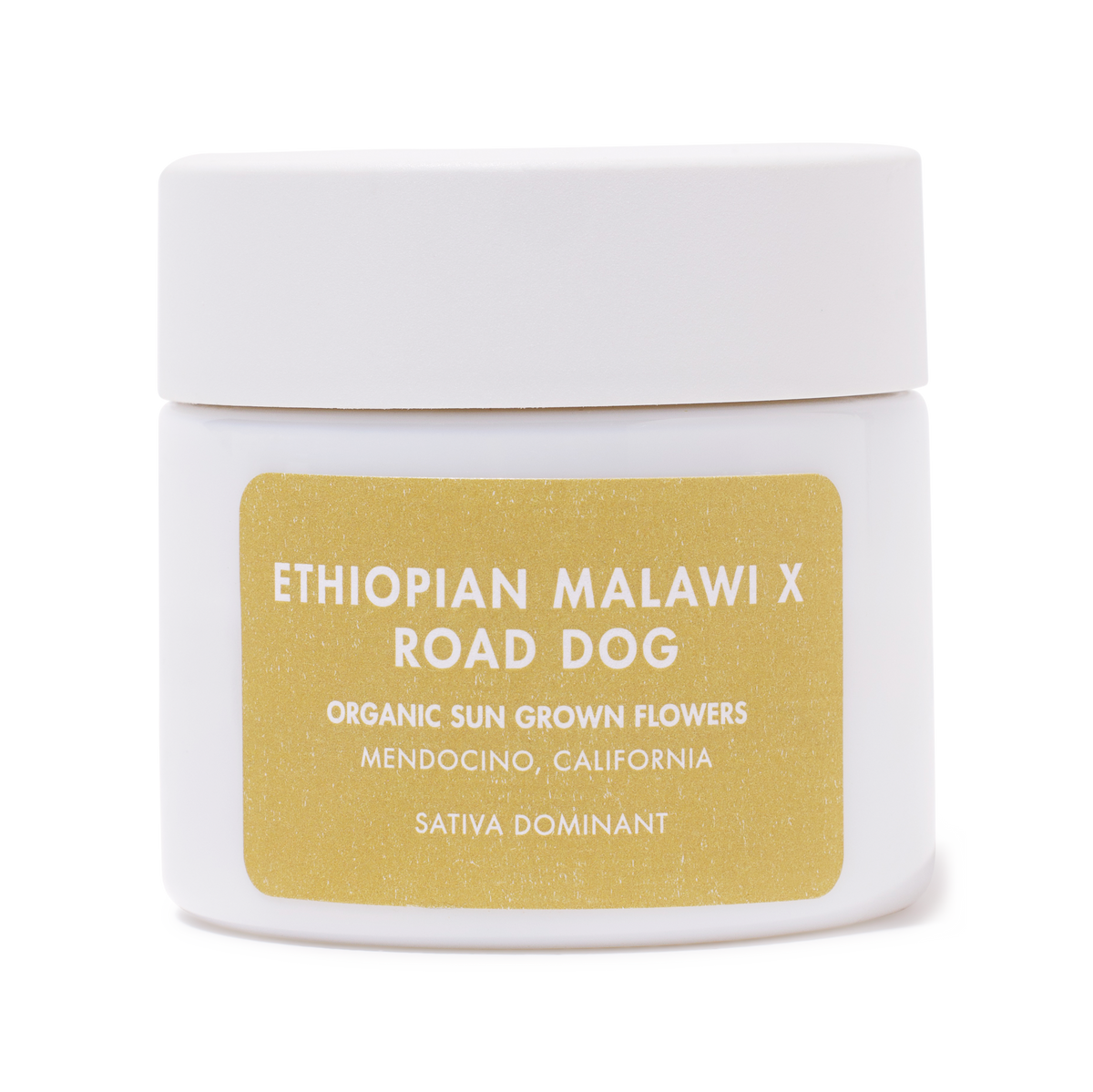 ETHOPIAN MALAWI X ROAD DOG